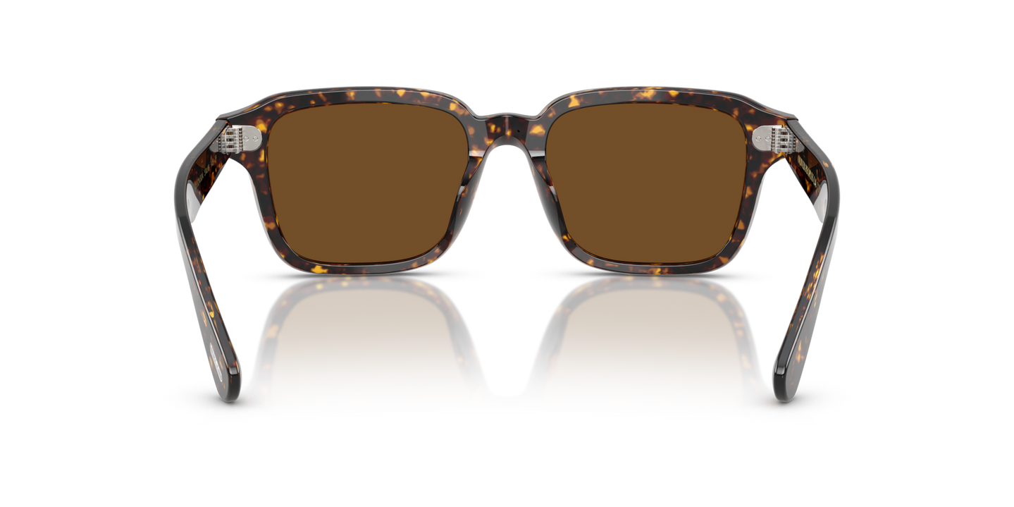 Oliver Peoples Errisson Sun with Atago Tortoise frame and Brown lenses - Image Nosepads
