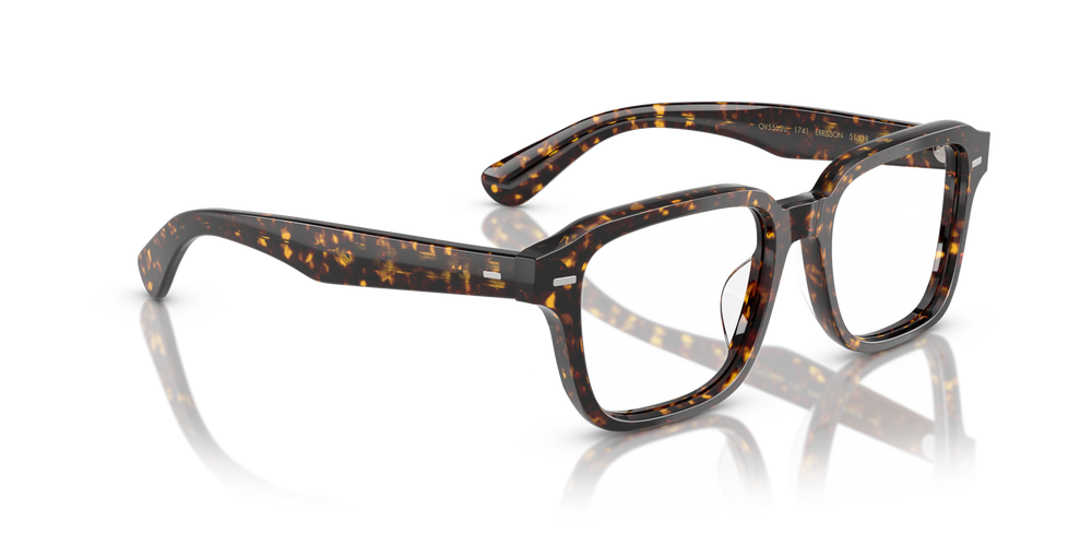 Oliver Peoples Errisson with Atago Tortoise frame - image 3