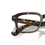 Oliver Peoples Errisson with Atago Tortoise frame - Variant
