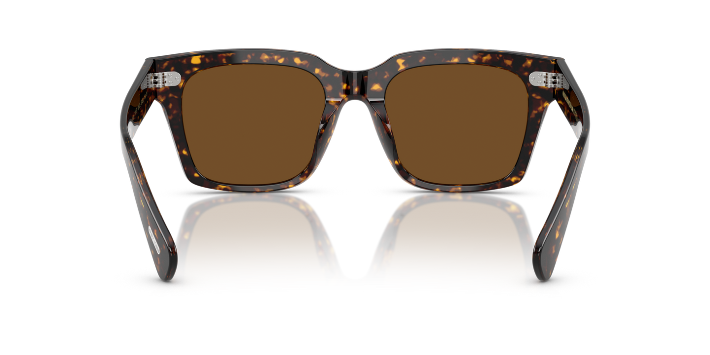 Oliver Peoples Ollice with Atago Tortoise frame and Brown lenses - Image Nosepads