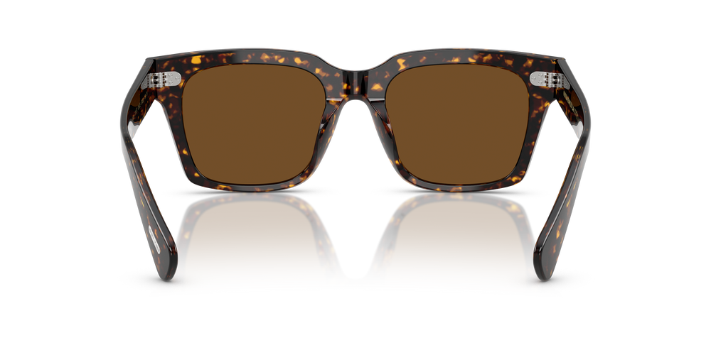 Oliver Peoples Ollice with Atago Tortoise frame and True Brown