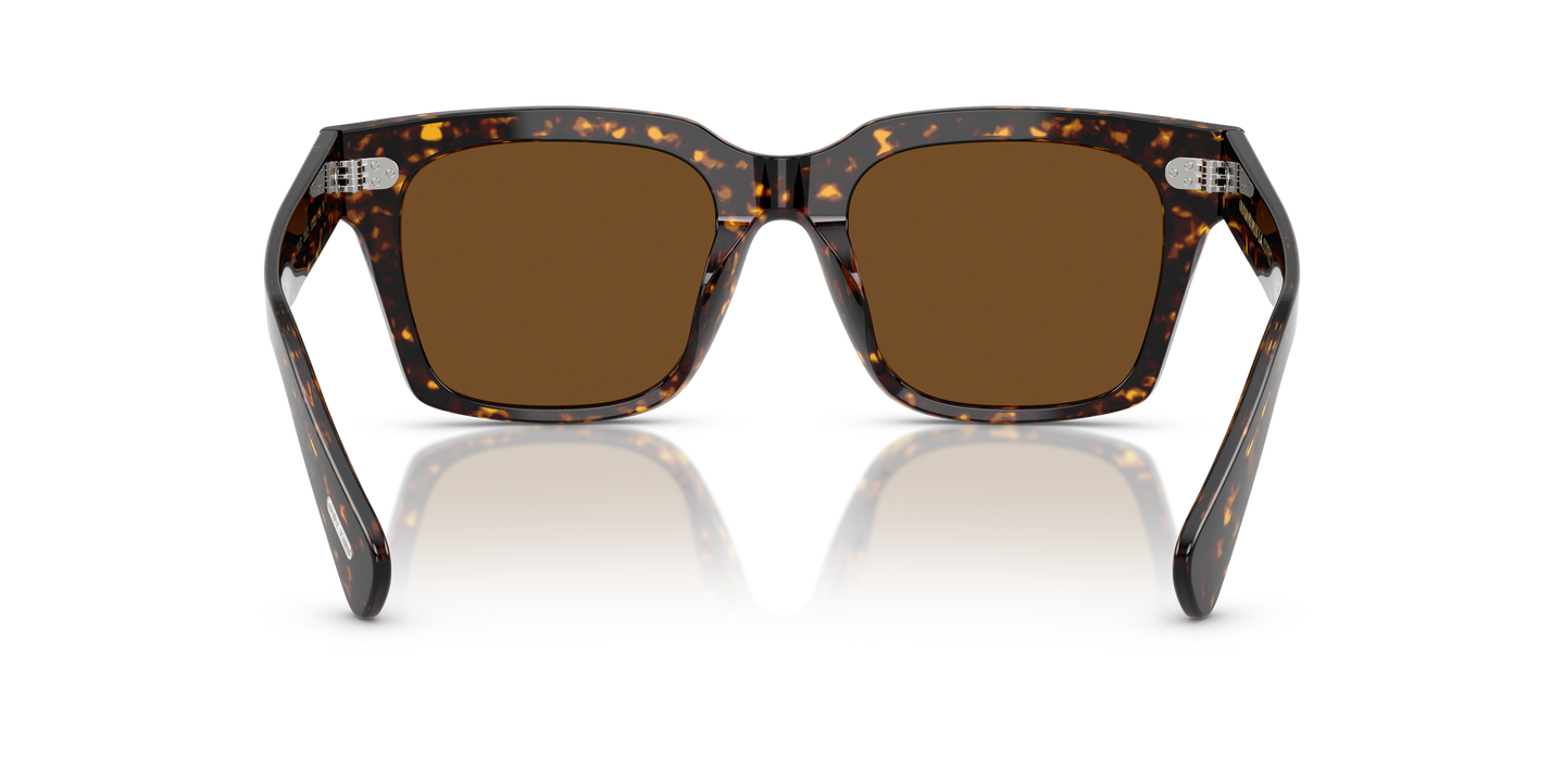 Oliver Peoples Ollice with Atago Tortoise frame and Brown lenses - Image Nosepads