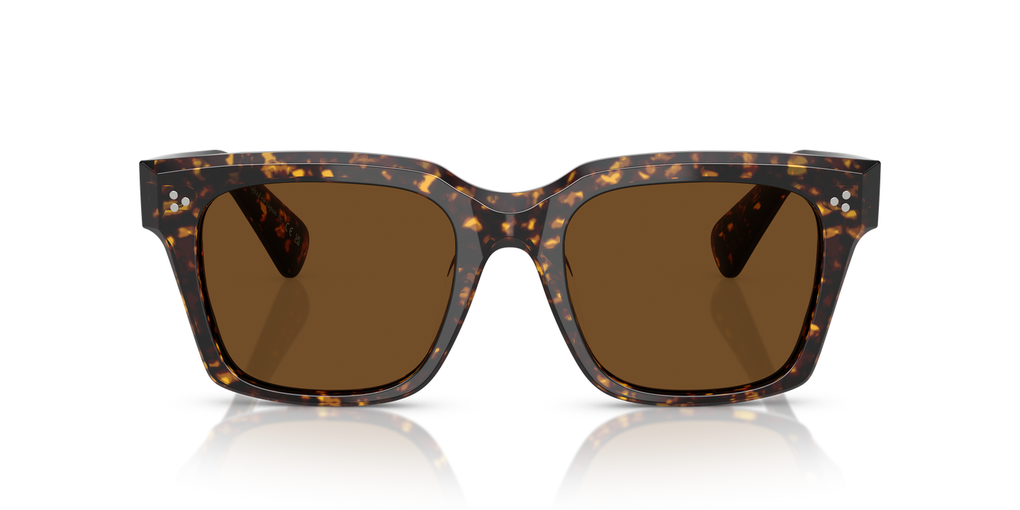 Oliver Peoples Ollice with Atago Tortoise frame and True Brown