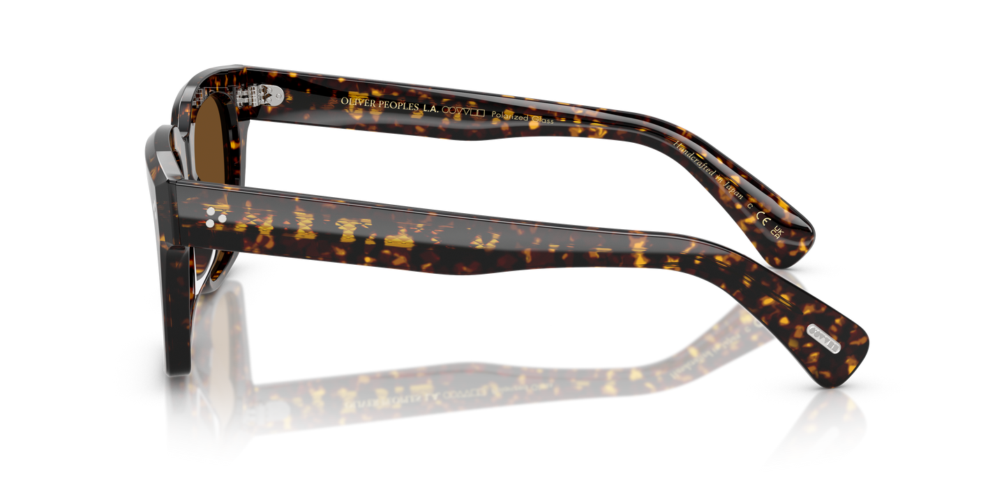 Oliver Peoples Ollice with Atago Tortoise frame and True Brown