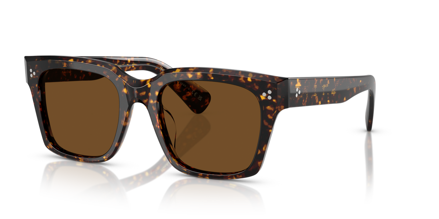 Oliver Peoples Ollice with Atago Tortoise frame and Brown lenses - Image Pins