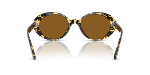 Oliver Peoples Lumar avec une monture Écaille de tortue Tokyo et des verres Brun - L'image 5
