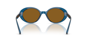 Oliver Peoples Lumar with Tesukon Blue frame and Brown lenses - image 5