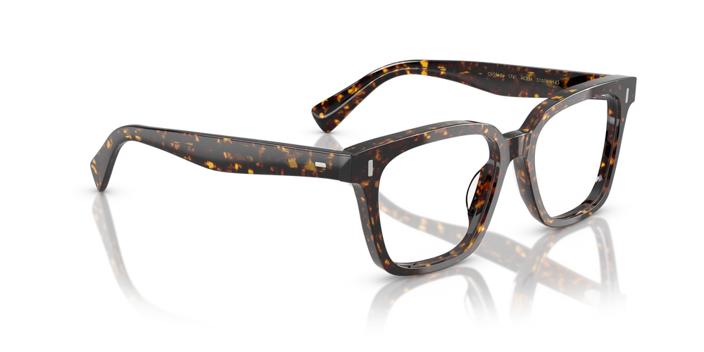 Oliver Peoples Aiona with Atago Tortoise frame - image 3