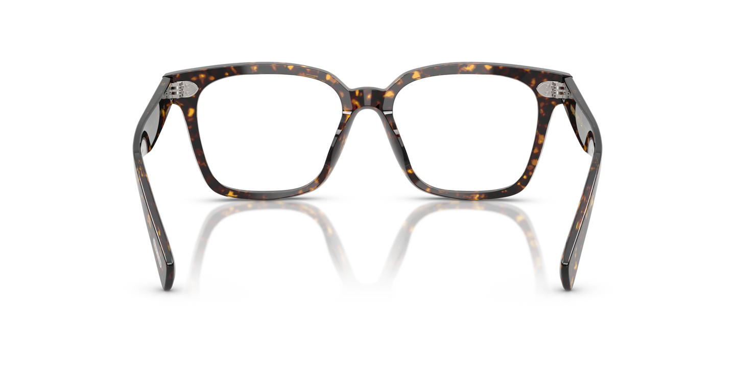 Oliver Peoples Aiona with Atago Tortoise frame - Image Nosepads