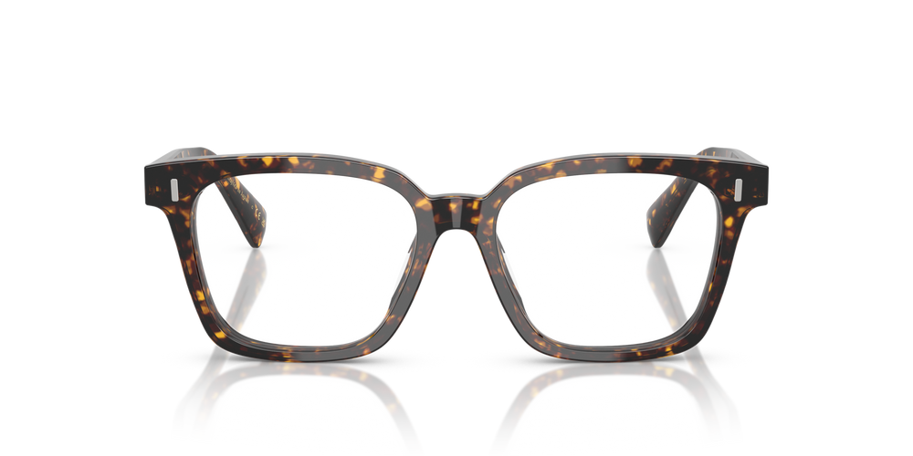 Oliver Peoples Aiona with Atago Tortoise frame - image 2