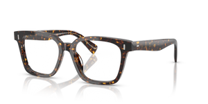 Oliver Peoples Aiona with Atago Tortoise frame - Image 1