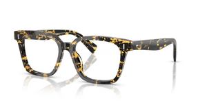 Oliver Peoples Aiona with Tokyo Tortoise frame - Image 1