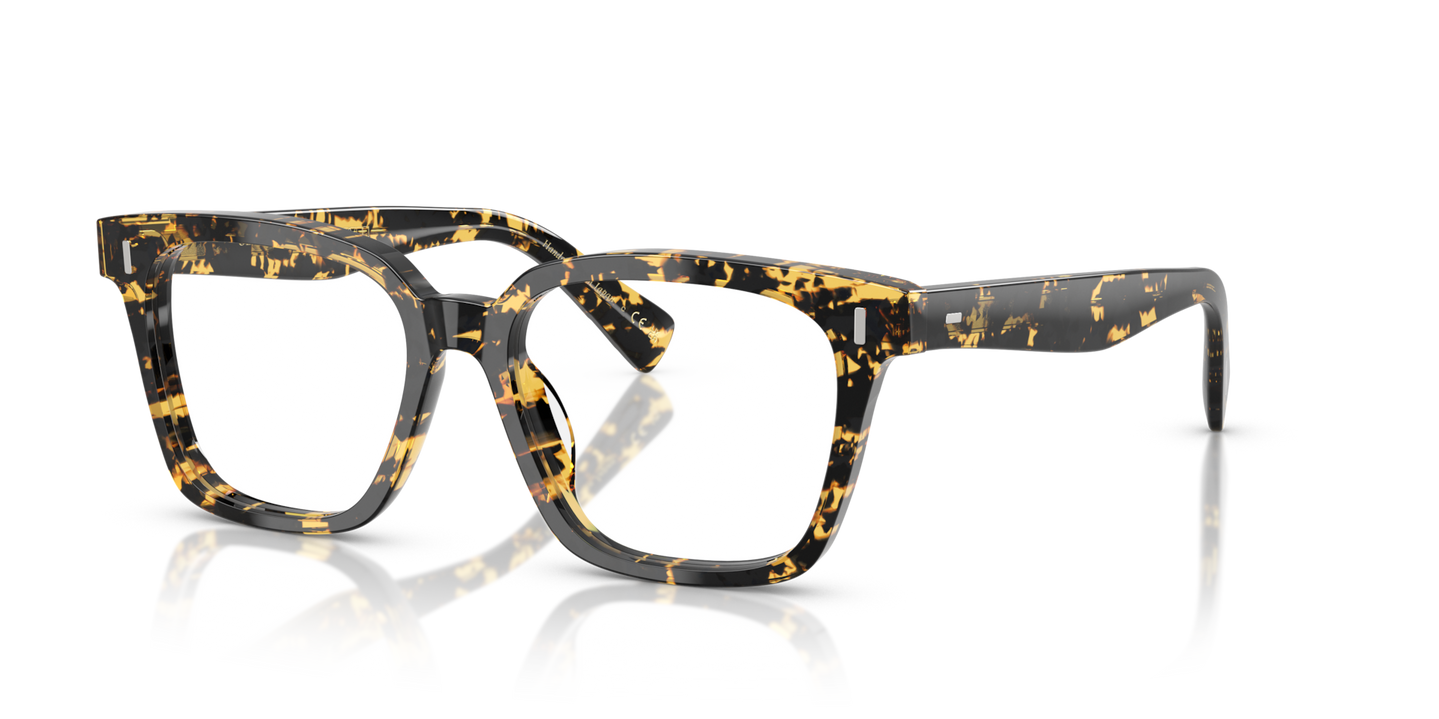 Oliver Peoples Aiona with Tokyo Tortoise frame - Image Plaques
