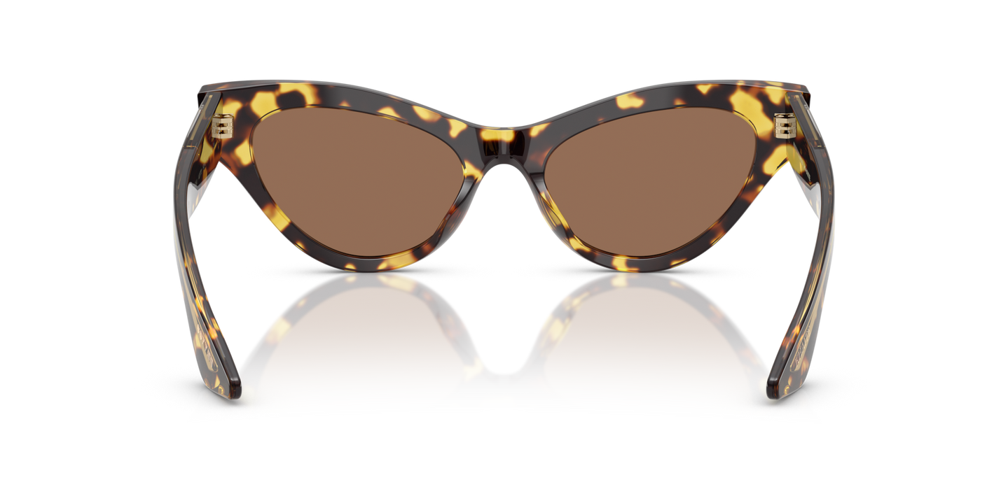 Oliver Peoples 1951C with Vintage Dtb frame and Brown lenses - Image Nosepads