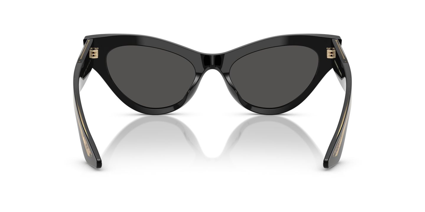 Oliver Peoples 1951C with Black frame and Grey lenses | Oliver