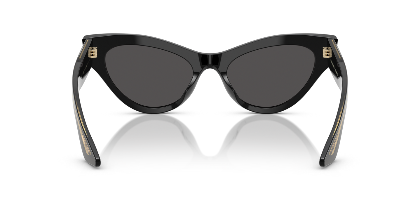 Oliver Peoples 1951C with Black frame and Grey lenses - Image Nosepads