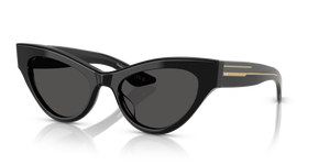 Oliver Peoples 1951C con montura Negro y lentes Gris - imagen 1