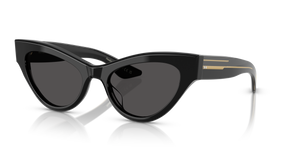 Oliver Peoples 1951C avec une monture Noir et des verres Gris - image 1
