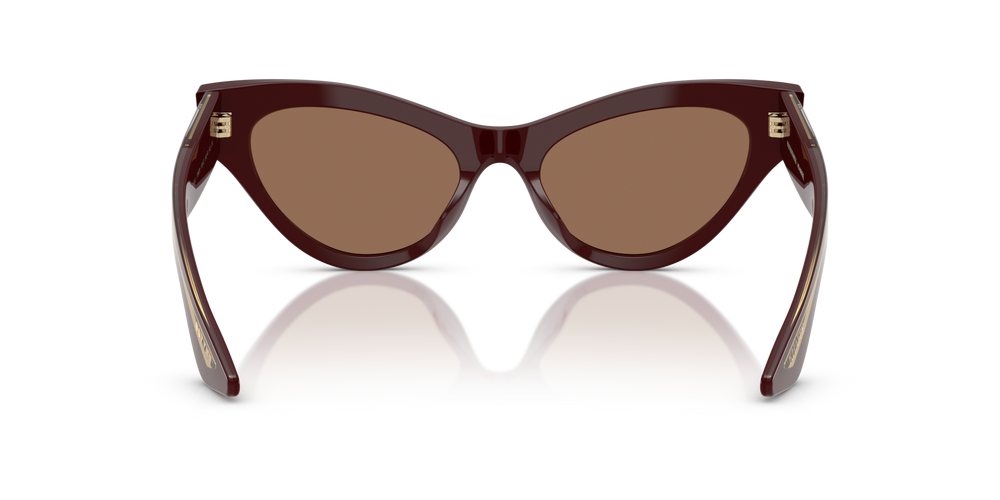 Oliver Peoples 1951C avec une monture Lie de vin et des verres Brun - image 5