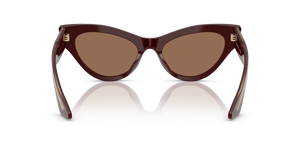 Oliver Peoples 1951C avec une monture Lie de vin et des verres Brun - image 5