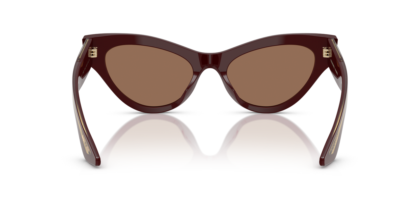 Oliver Peoples 1951C with Burgundy frame and Brown lenses - Image Nosepads