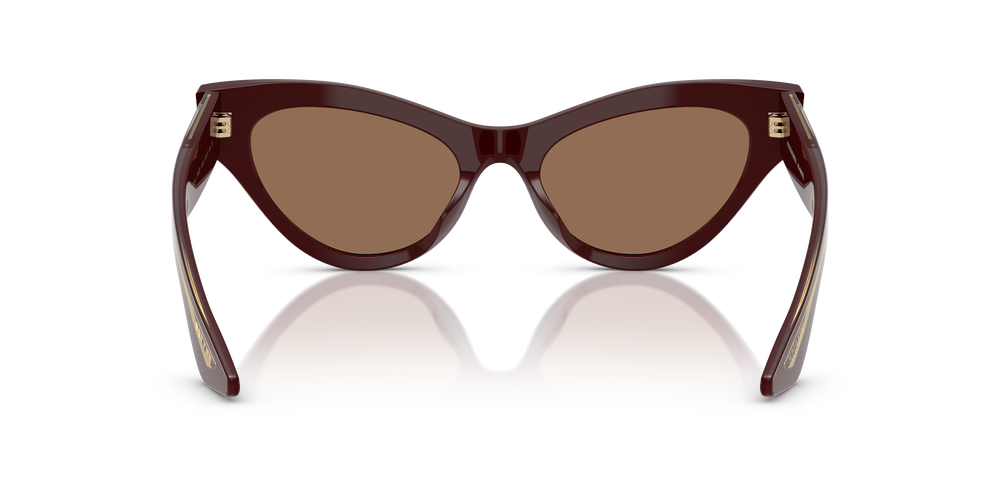 Oliver Peoples 1951C con montatura Bordeaux e lenti  Marrone - L'immagine 5