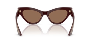 Oliver Peoples 1951C con montatura Bordeaux e lenti  Marrone - L'immagine 5