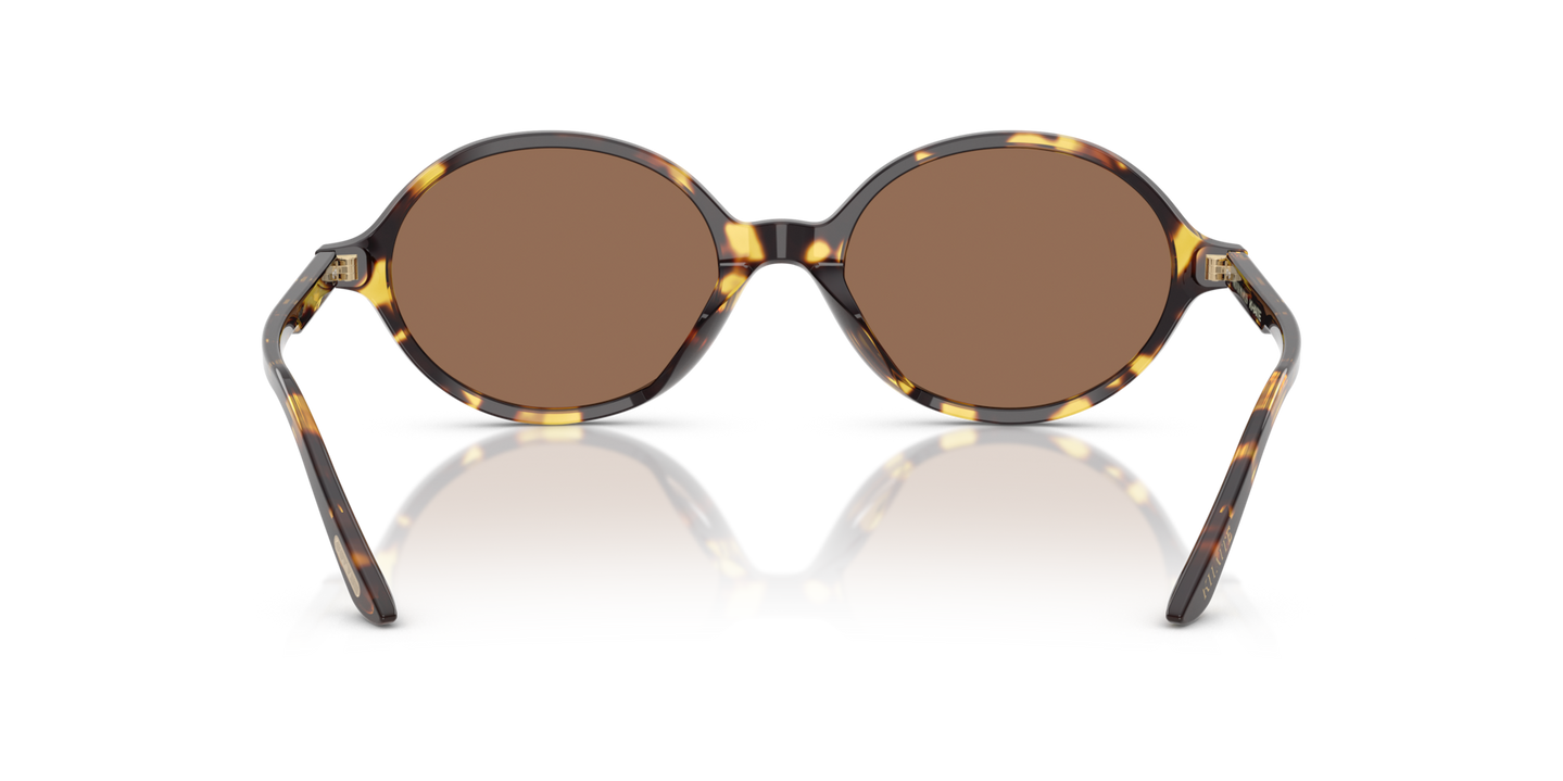 Oliver Peoples 2000C con montura Vintage Dtb y lentes Marrón - Imagen Plaquetas nasales