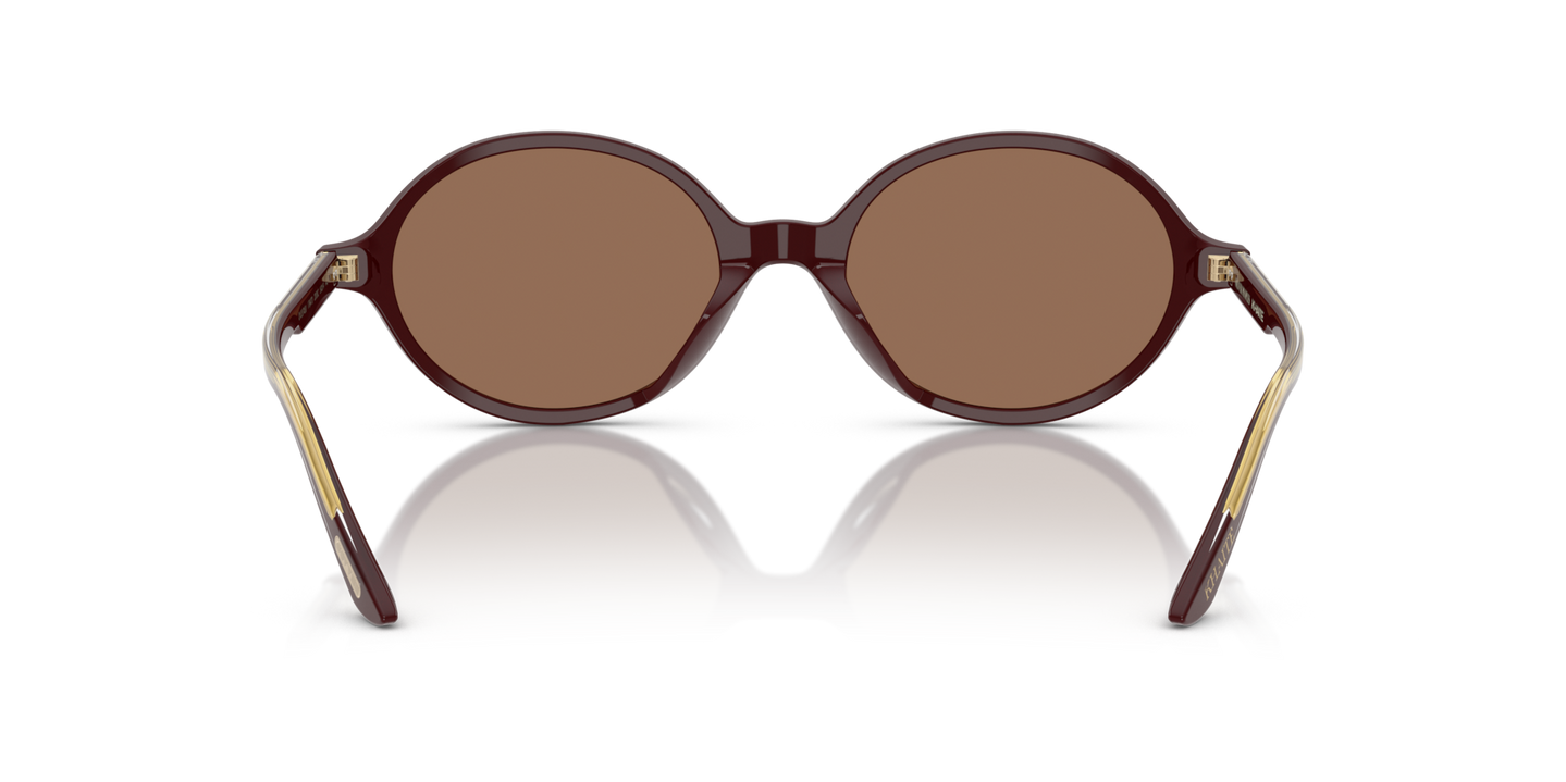 Oliver Peoples 2000C avec une monture Lie de vin et des verres Brun - Image Plaquettes de nez