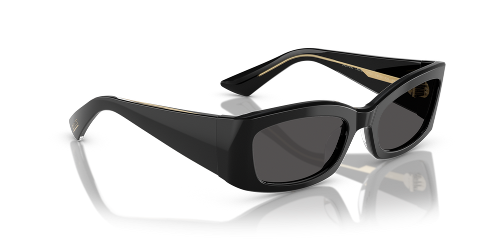 Oliver Peoples 1993C with Black frame and Grey lenses - image 3
