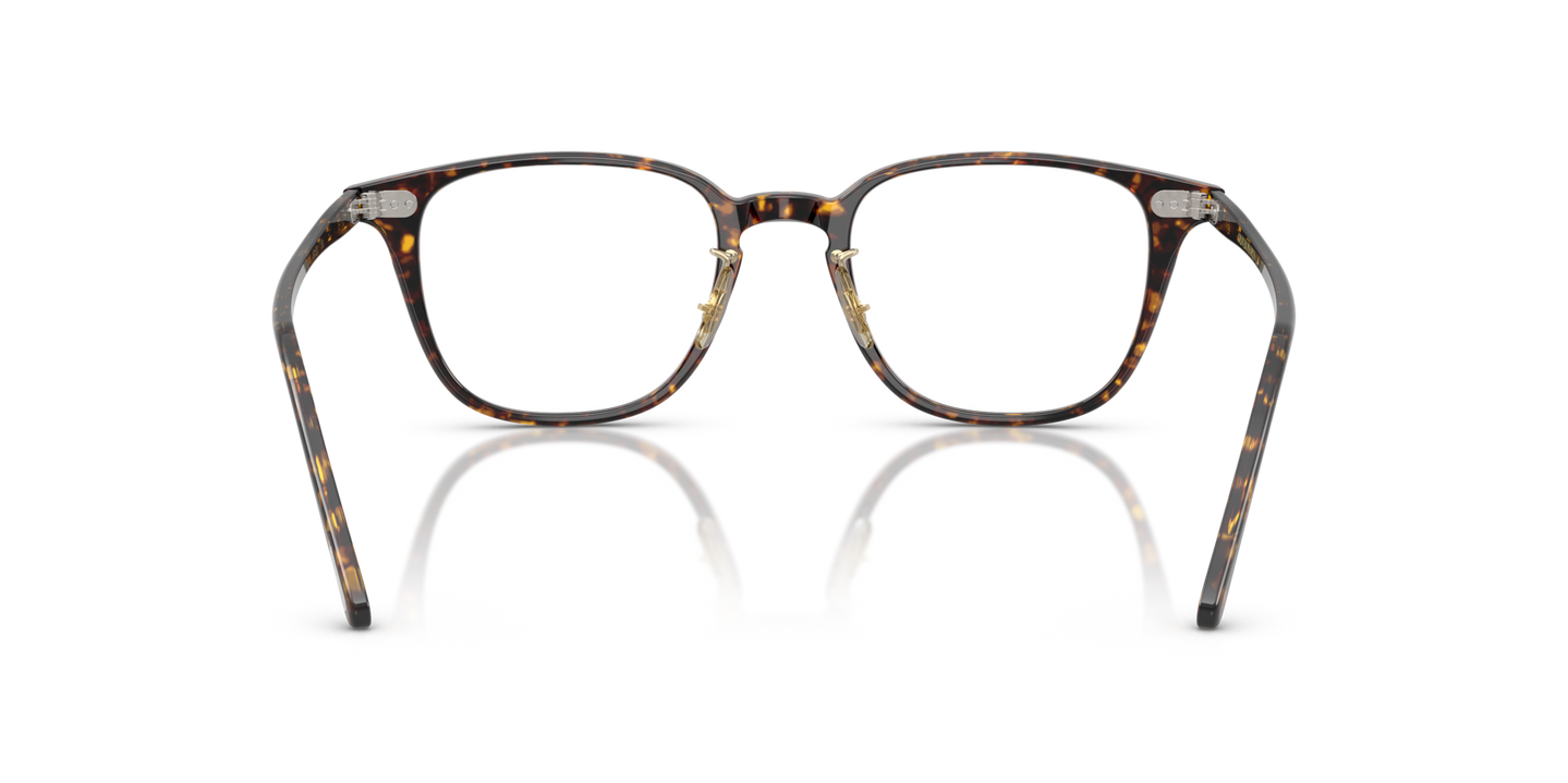 Oliver Peoples Sobel with Atago Tortoise frame - Image Nosepads