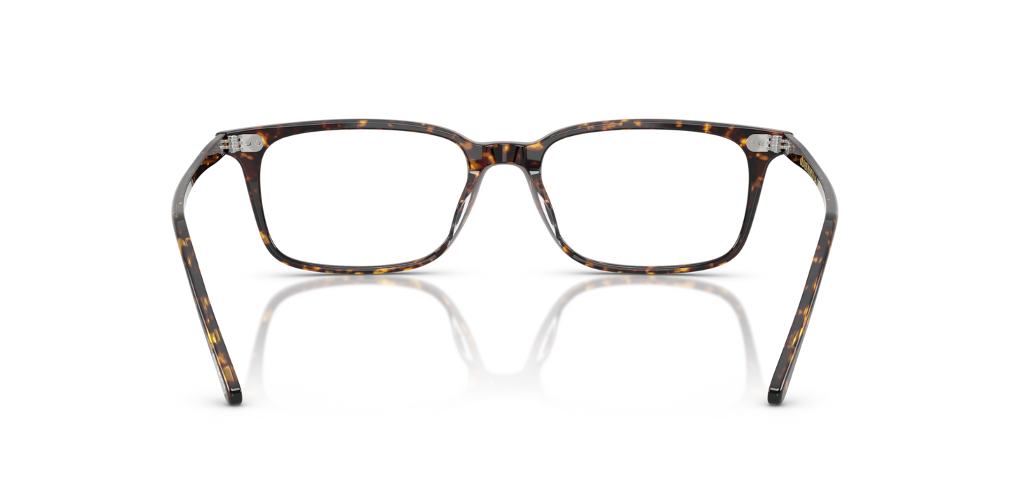 Oliver Peoples Neylan with Atago Tortoise frame - Image Nosepads