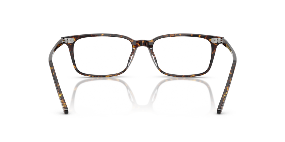 Oliver Peoples Neylan mit Atago Tortoise Gestell - Das Bild 5
