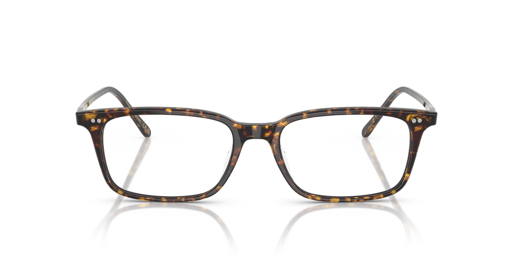Oliver Peoples Neylan mit Atago Tortoise Gestell - Das Bild 2
