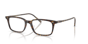 Oliver Peoples Neylan mit Atago Tortoise Gestell - Das Bild 1