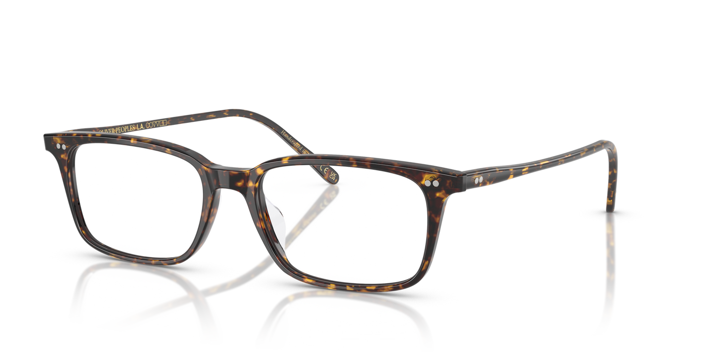 Oliver Peoples Neylan with Atago Tortoise frame - Image Pins
