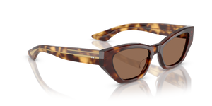 Oliver Peoples 1961C con montura Caoba oscuro y lentes Marrón - El 3