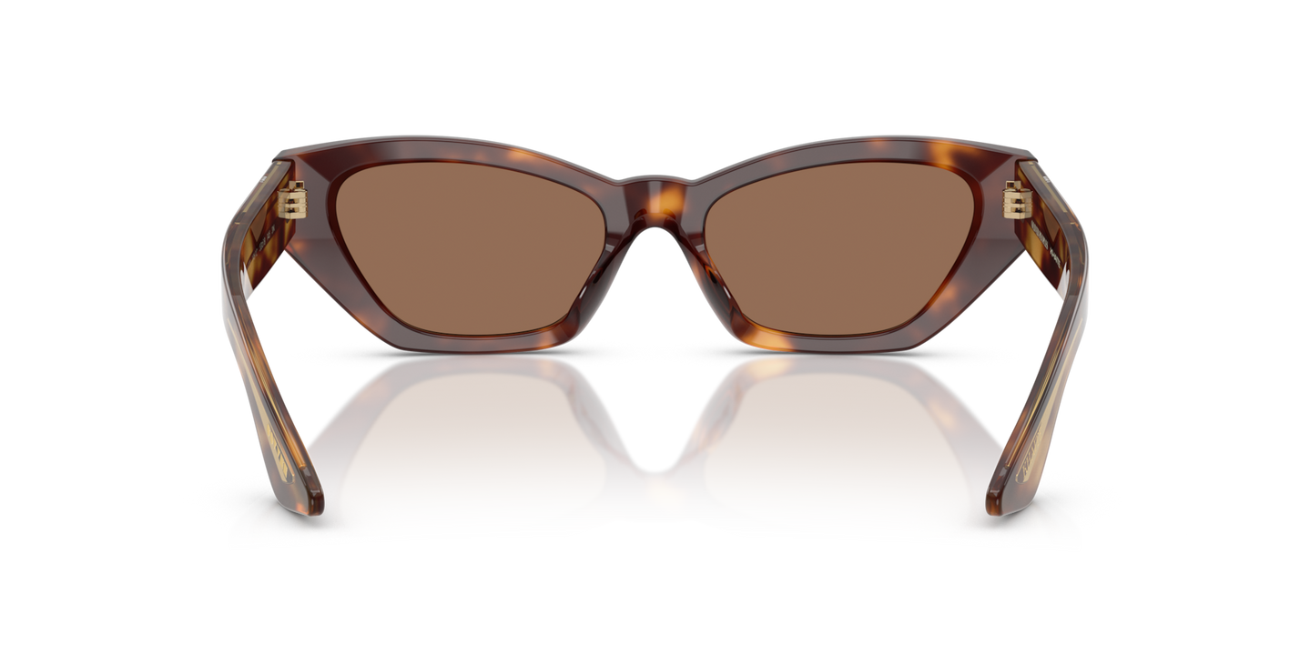 Oliver Peoples 1961C with Dark Mahogany frame and Brown lenses - Image Nosepads