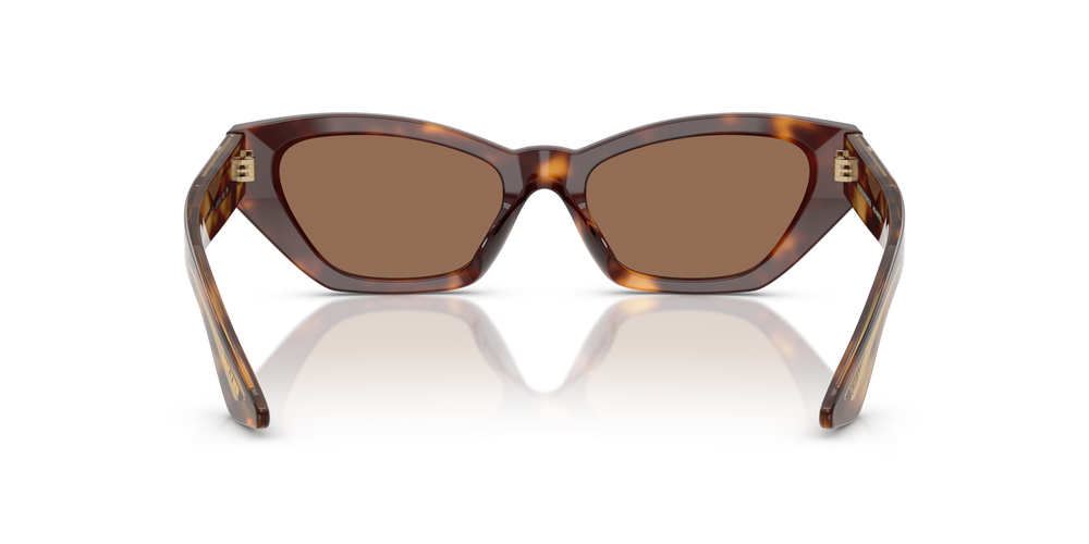 Oliver Peoples 1961C with Dark Mahogany frame and Brown lenses - image 5
