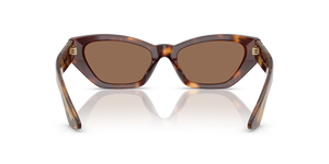 Oliver Peoples 1961C with Dark Mahogany frame and Brown lenses - image 5