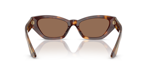 Oliver Peoples 1961C con montura Caoba oscuro y lentes Marrón - El 5