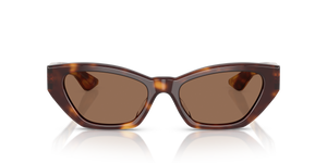 Oliver Peoples 1961C with Dark Mahogany frame and Brown lenses - image 2