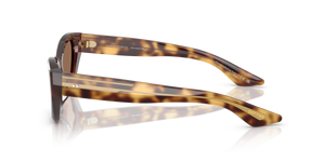 Oliver Peoples 1961C con montura Caoba oscuro y lentes Marrón - El 4