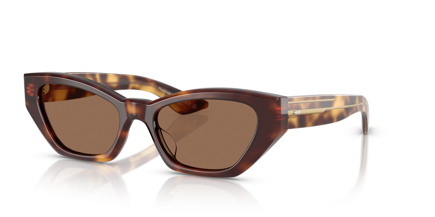 Oliver Peoples 1961C with Dark Mahogany frame and Brown lenses - Image Pins