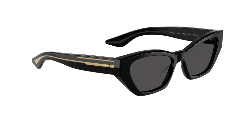 Oliver Peoples 1961C with Black frame and Grey lenses - image 3