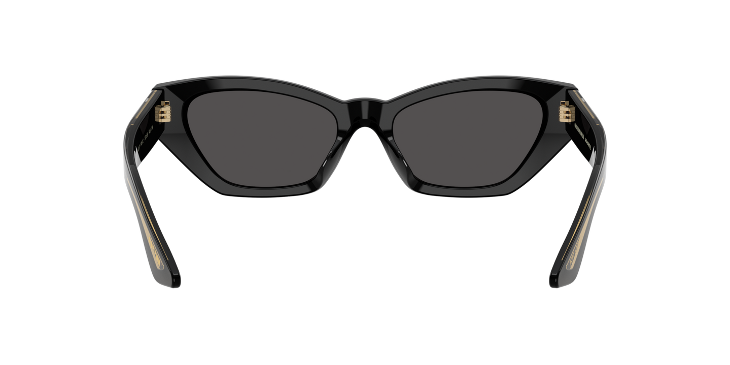 Oliver Peoples 1961C with Black frame and Grey lenses - Image Nosepads