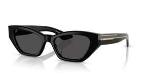 Oliver Peoples 1961C with Black frame and Grey lenses - image 1