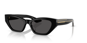 Oliver Peoples 1961C with Black frame and Grey lenses - image 1