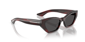 Oliver Peoples 1961C with Bordeaux Bark frame and Grey lenses - image 3