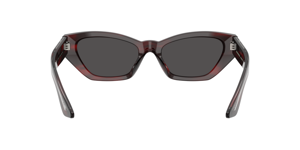 Oliver Peoples 1961C with Bordeaux Bark frame and Grey lenses - image 5